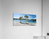 Lake McKenzie trees Acrylic Print