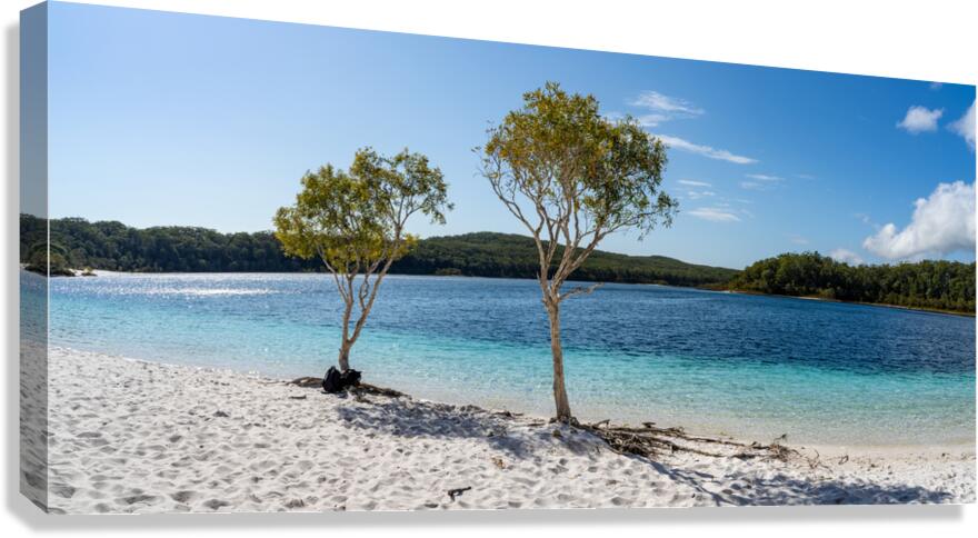 Lake McKenzie trees Canvas Print