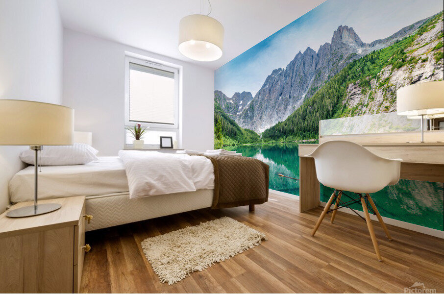 Mt Colonel Mural print