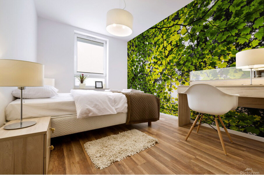 Capilano Foliage Mural print