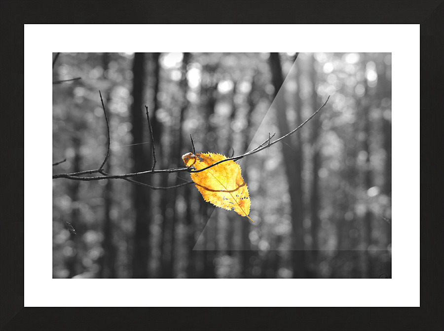 Withstanding Fall Picture Frame print