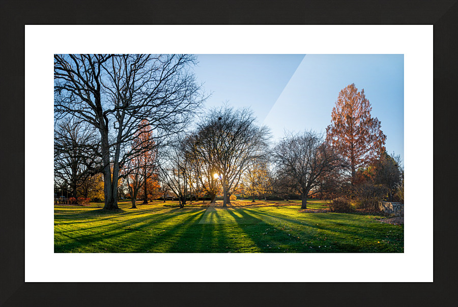 Sunset Fall Picture Frame print
