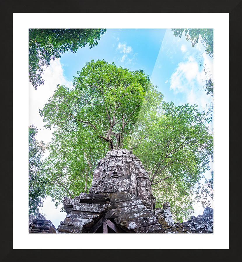 DSC07799 Pano Picture Frame print