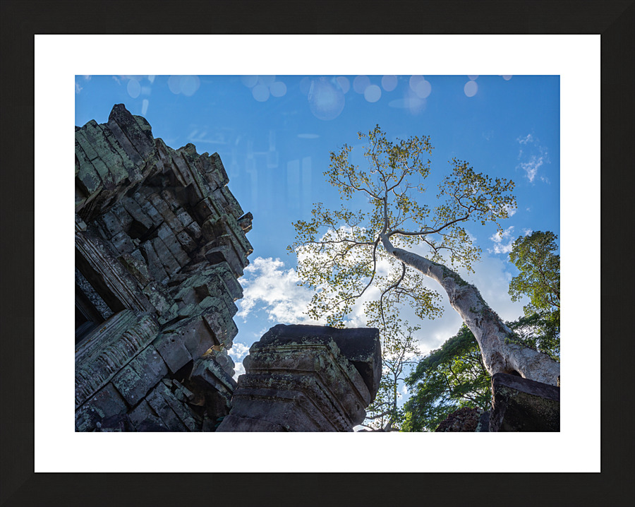 DSC07611 Pano Picture Frame print