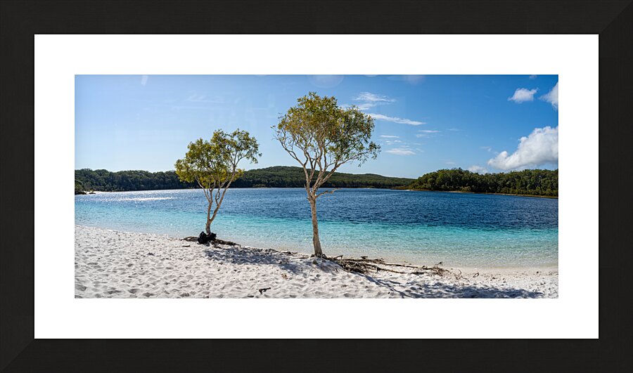 Lake McKenzie trees Picture Frame print