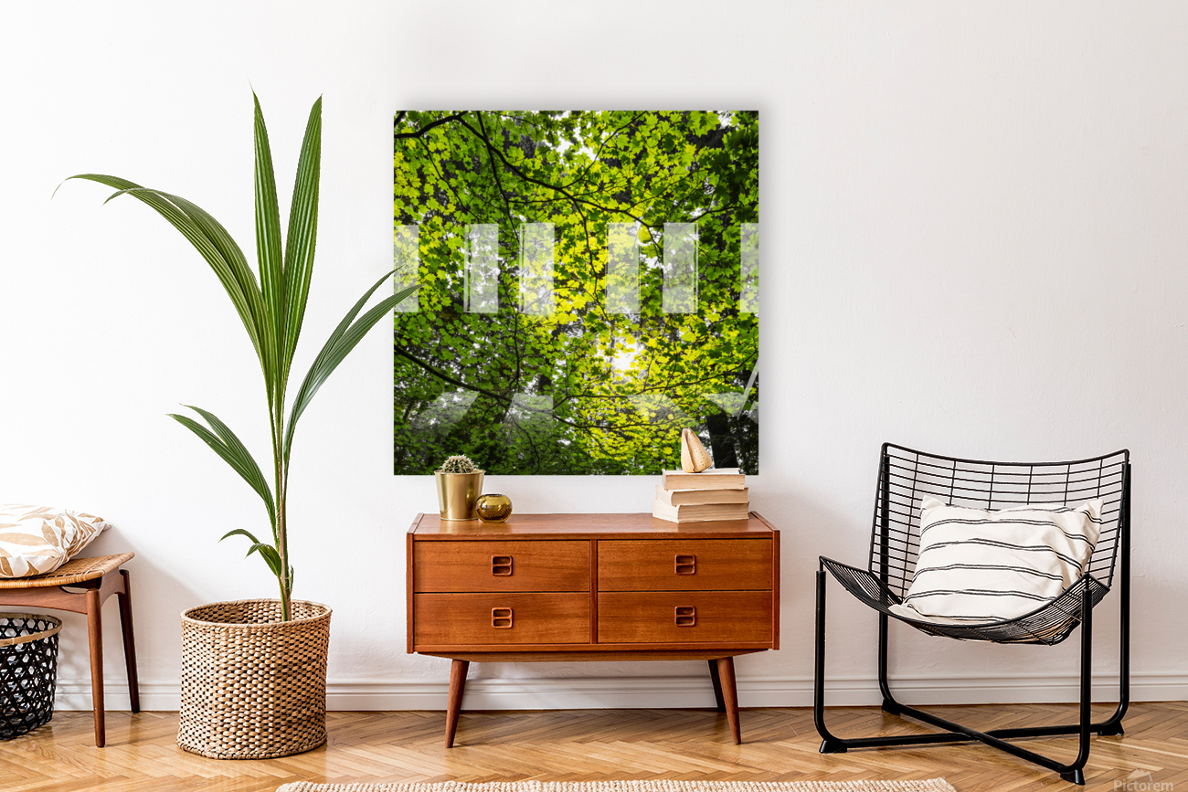 Capilano Foliage Reproduction