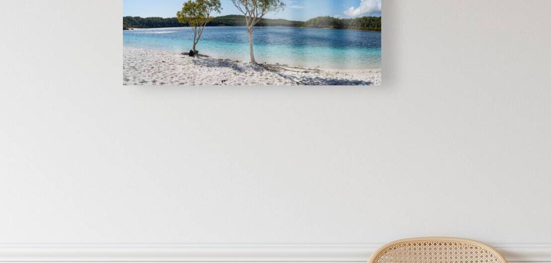 Lake McKenzie trees Reproduction