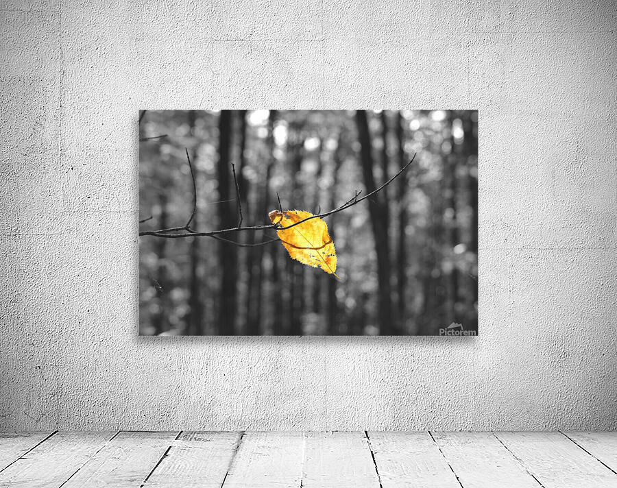 Withstanding Fall Wall Preview