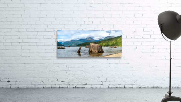 Strachcona park Trunk  Wall Preview