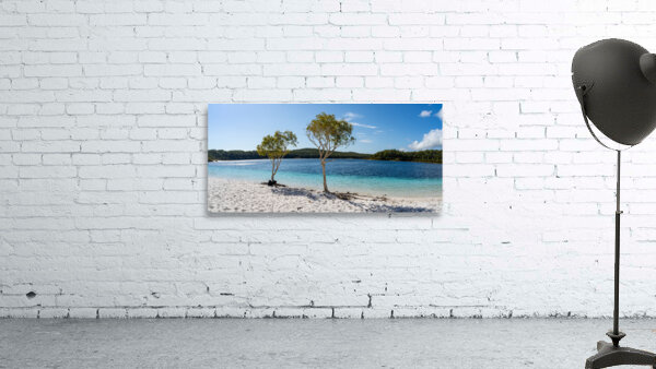 Lake McKenzie trees Wall Preview