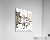 Slowdive 2 Acrylic Print