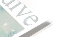 Slowdive 16 HD Metal print