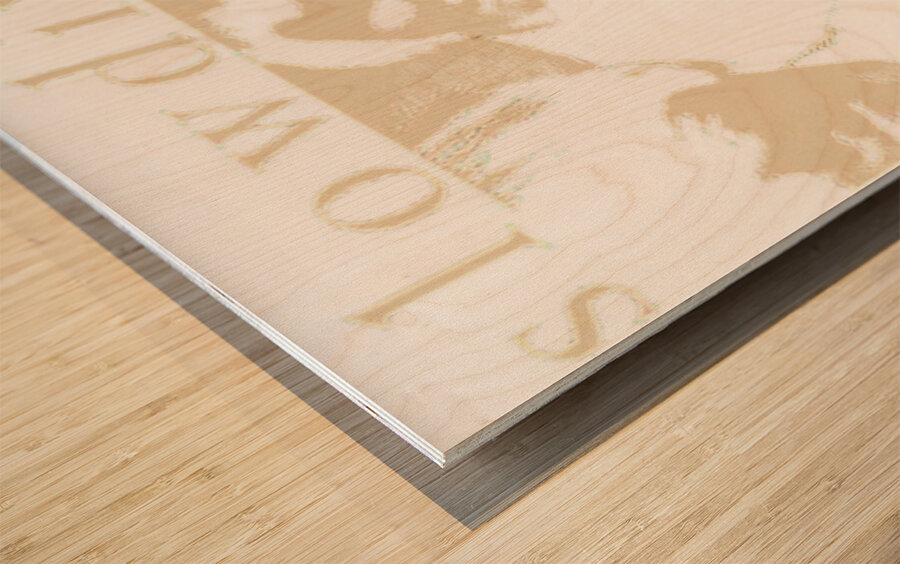 Slowdive 31 Wood print