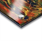 Sternly Acrylic print