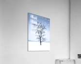 Mon arbre solitaire Acrylic Print