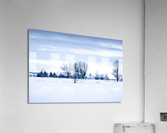 La ferme Acrylic Print