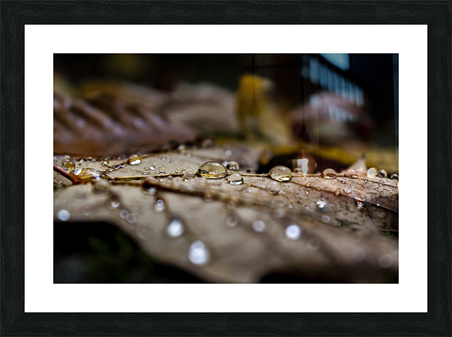 Goutte derable Picture Frame print