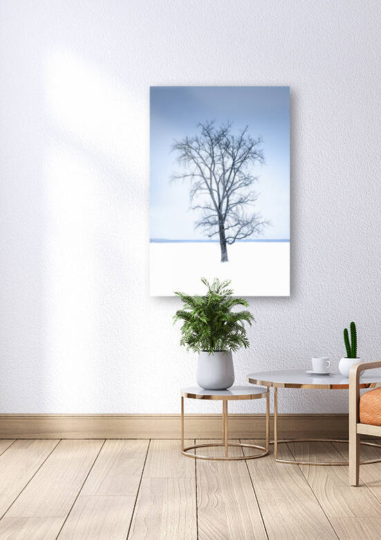 Mon arbre solitaire by La galerie d Actarus