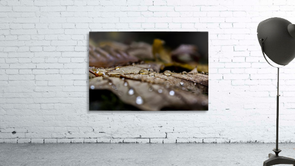Goutte derable Wall Preview