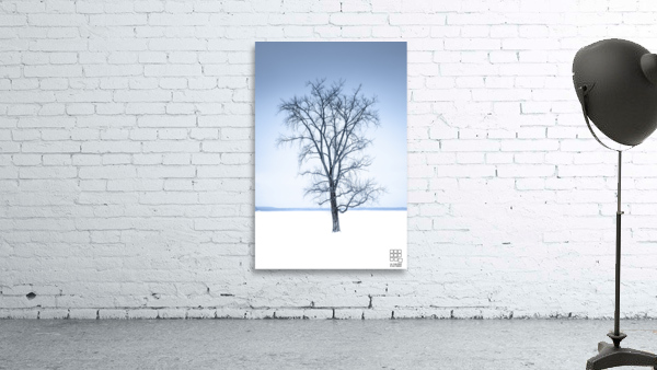 Mon arbre solitaire Wall Preview