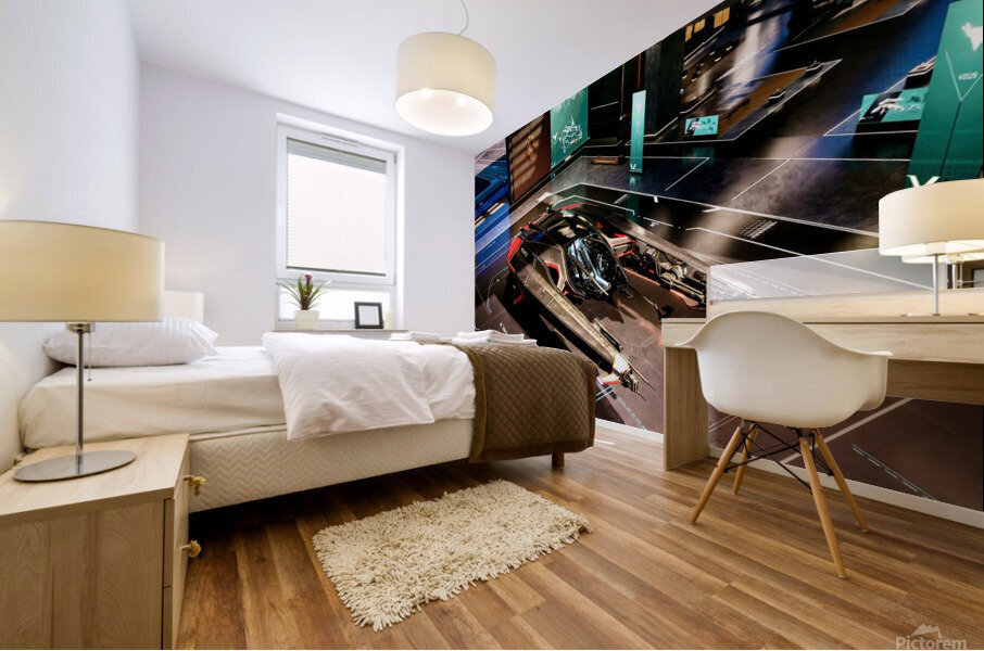 X6 Mural print