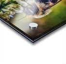 Petal Perch - Maine Botanical Wall Art Acrylic print