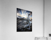 Driftwood Angel Acrylic Print