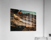 Mornings Glow Acrylic Print