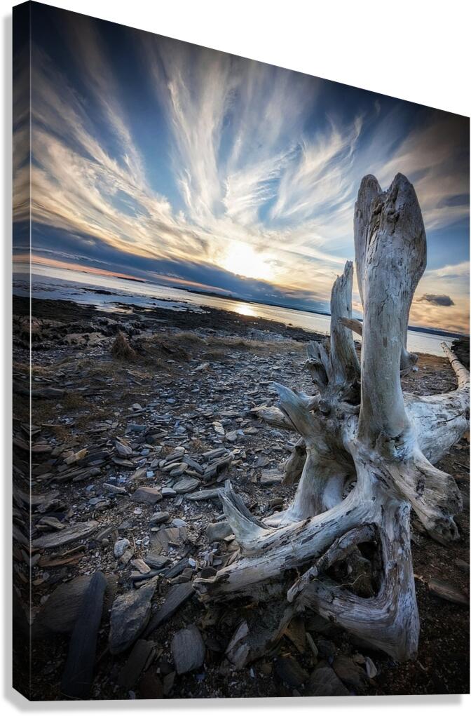 Driftwood Angel Canvas Print