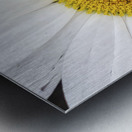 Bumble in the Middle - Maine Botanical Wall Art Impression metal