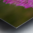 Bumbles Ballet Metal print