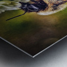 Petal Perch - Maine Botanical Wall Art Metal print