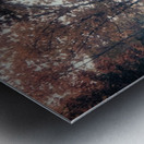 Long Road Home Metal print