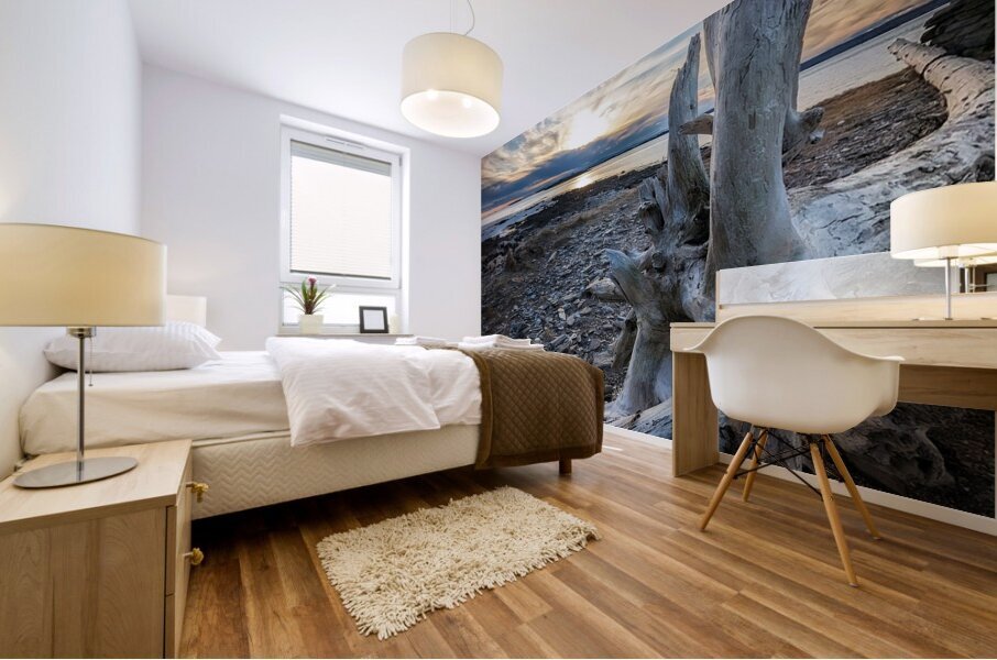 Driftwood Angel Mural print