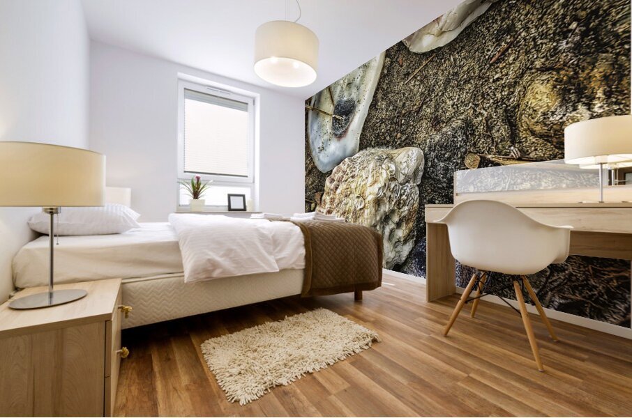 A Shoreline Find Mural print
