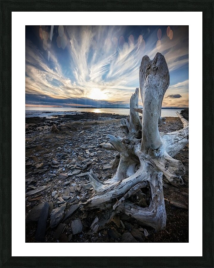 Driftwood Angel Picture Frame print