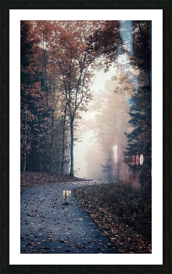 Long Road Home Picture Frame print