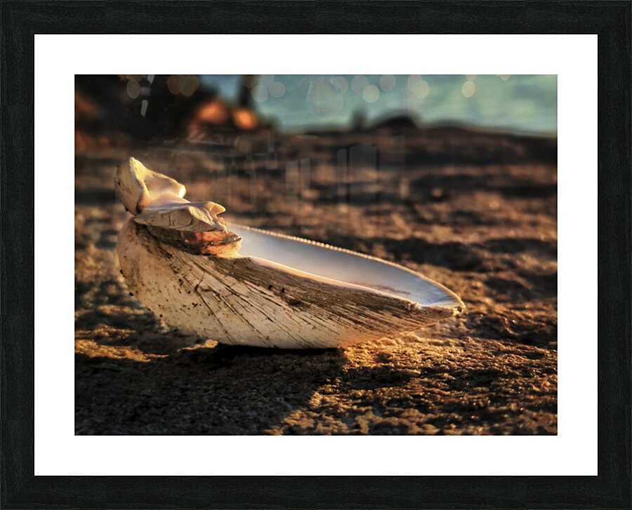 Mornings Glow Picture Frame print