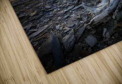 Driftwood Angel George Baines Photography   Connection in Moments of Light puzzle