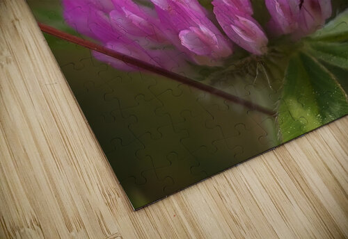 Bumbles Ballet George Baines Photography   Connection in Moments of Light puzzle