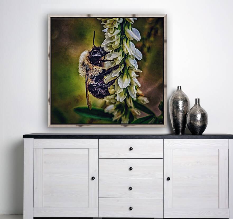 Petal Perch - Maine Botanical Wall Art Reproduction