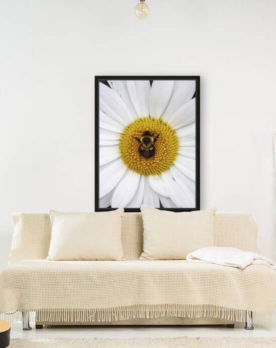 Bumble in the Middle - Maine Botanical Wall Art by George Baines Photography   Connection in Moments of Light