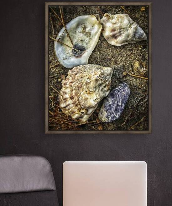 A Shoreline Find by George Baines Photography   Connection in Moments of Light
