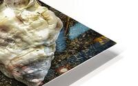 A Shoreline Find HD Metal print