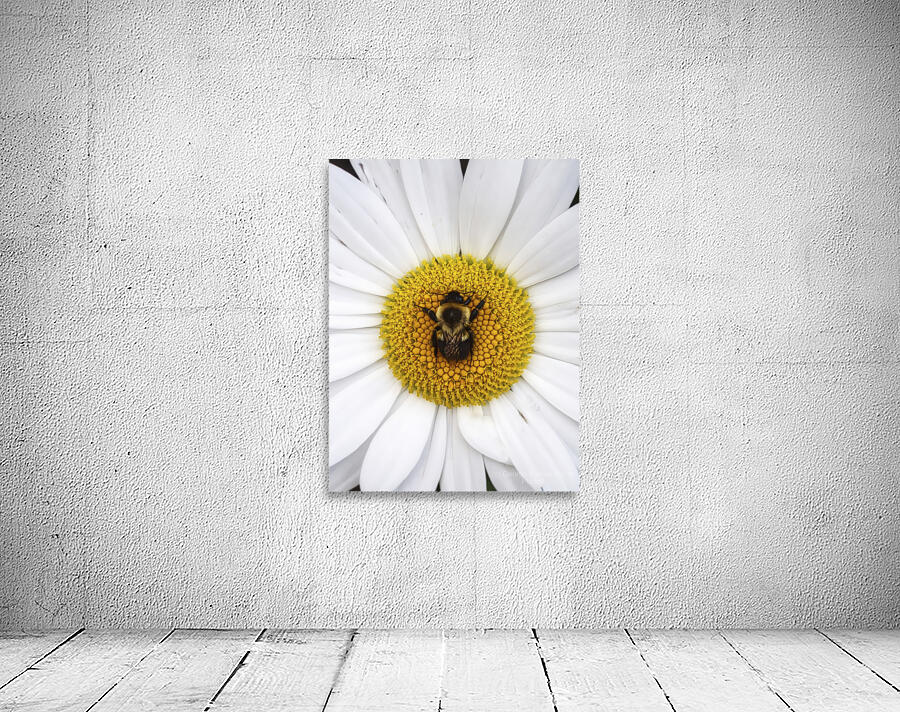 Bumble in the Middle - Maine Botanical Wall Art Aperçu sur mur