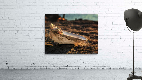Mornings Glow Wall Preview