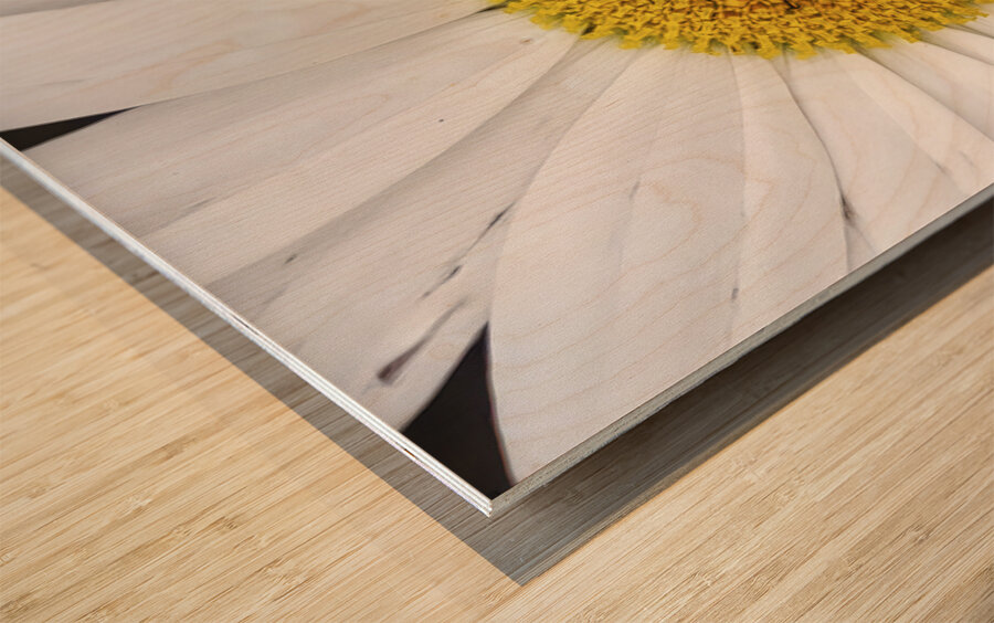 Bumble in the Middle - Maine Botanical Wall Art Impression sur bois