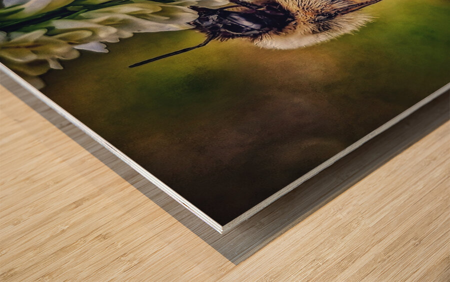 Petal Perch - Maine Botanical Wall Art Wood print