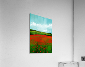 Scarlet Meadow Acrylic Print
