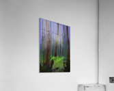 The Magic Forest Acrylic Print